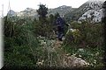 PC140501.JPG
