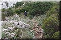 PC140503.JPG
