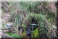 PC140505.JPG