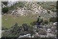 PC140512.JPG