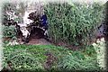 PC170518.JPG
