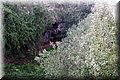 PC170519.JPG