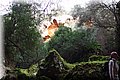 PC170534.JPG