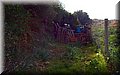 PC170553.JPG