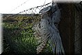 PC170555.JPG