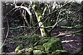 PC170559.JPG