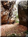 PC172811.JPG