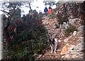 DSC_0038.JPG