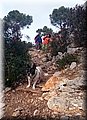 DSC_0039.JPG