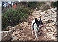 DSC_0041.JPG