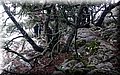 DSC_0108.JPG