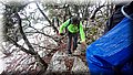 DSC_0109.JPG