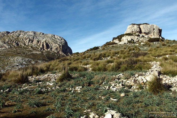 P1110714.JPG