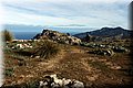 P1110709.JPG