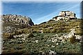 P1110714.JPG