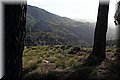 P1110717.JPG