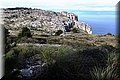 P1110725.JPG