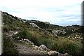 P1110733.JPG