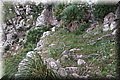 P1110737.JPG