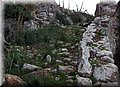 P1110740.JPG