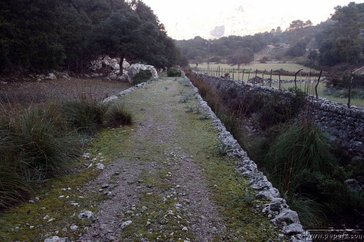 P1210885.JPG
