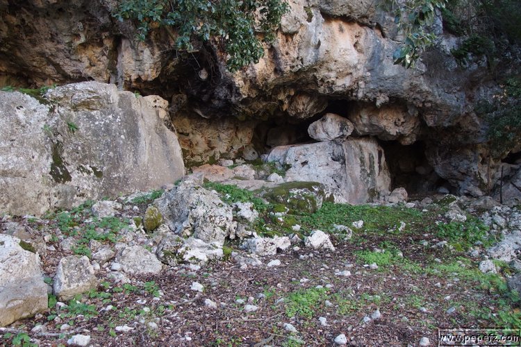 P1210886.JPG