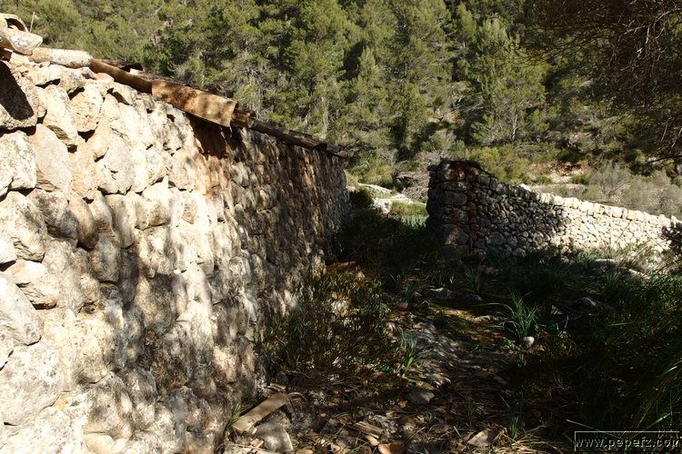 P1210901.JPG