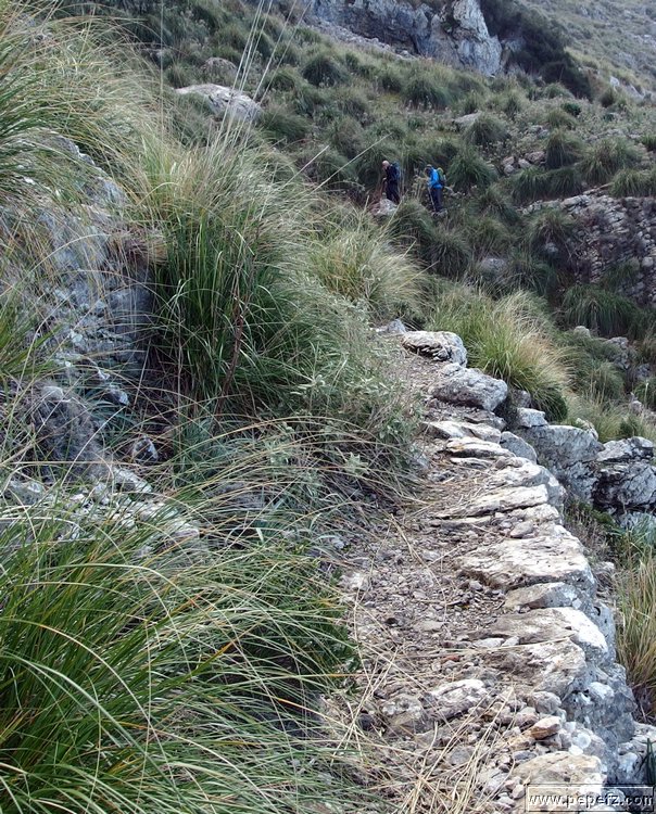 P1210926.JPG