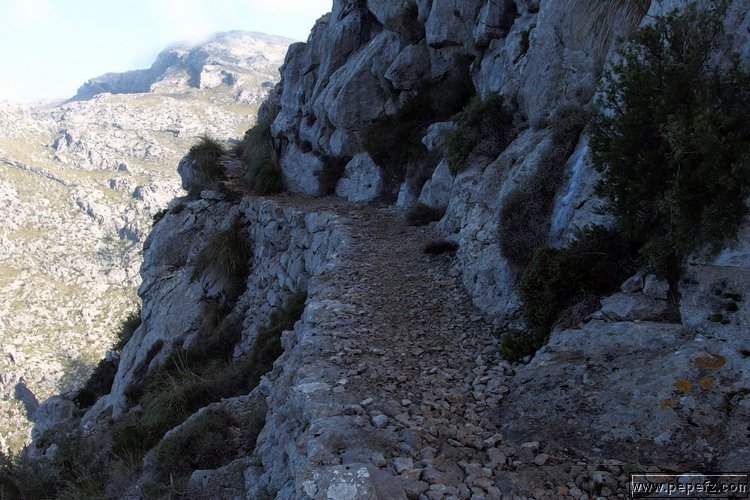P1210942.JPG
