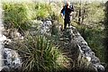 P1210900.JPG