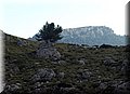 P1210952.JPG