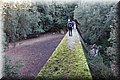 DSC01137.JPG