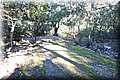 DSC01151.JPG