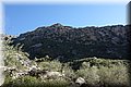 DSC01174.JPG