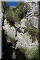 DSC01177.JPG