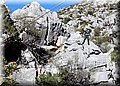 DSC01180.JPG