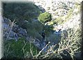 DSC01185.JPG