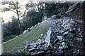 DSC01199.JPG