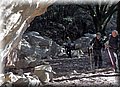 P2010015.JPG