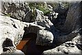 P2010025.JPG