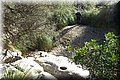P2010031.JPG