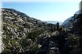 P2010042.JPG