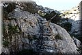 P2010045.JPG