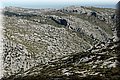 P2010064.JPG