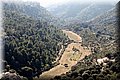 P2010067.JPG