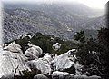 P2040079.JPG