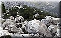 P2040081.JPG