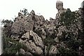 P2040104.JPG