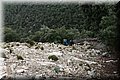 P2040111.JPG