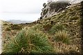 P2040117.JPG